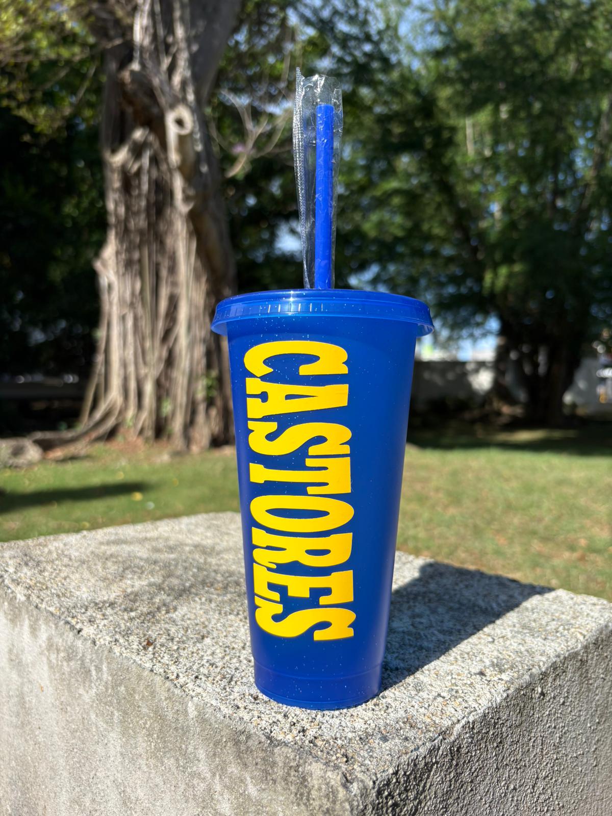 Vaso Castor